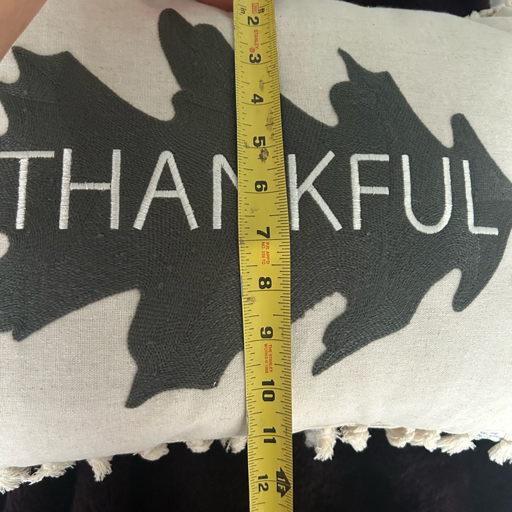 New Thankful pillow - NWOT - Picture 2 of 4